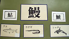 うなぎ.jpg