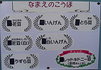 まめなまえ2.jpg