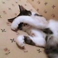 まぶしい